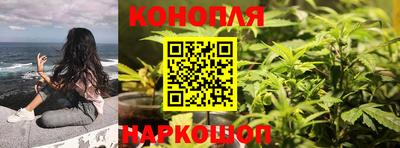 стаф Тара