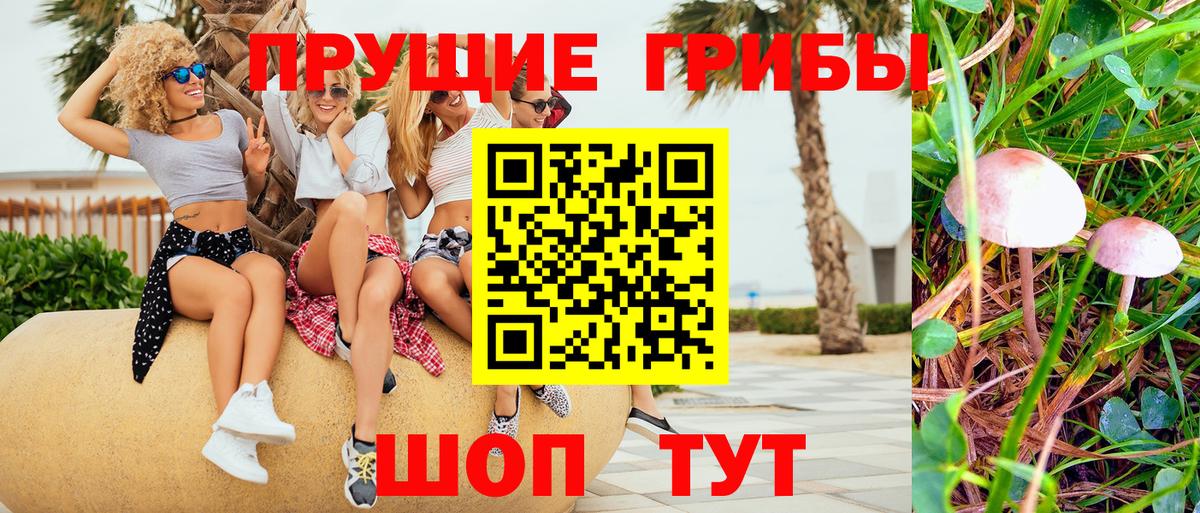 Галлюциногенные грибы мухоморы Партизанск